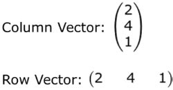 row vs column vector